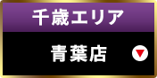 千歳エリア青葉店